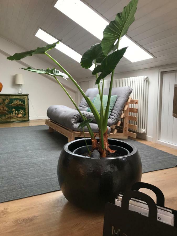 Little Lio Apartment 카발리노 외부 사진